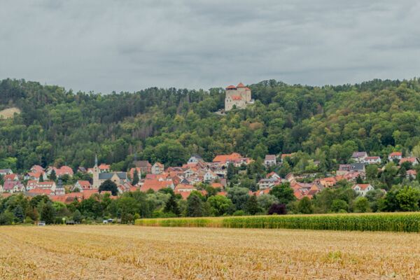 Treffurt und die Burg Normannstein